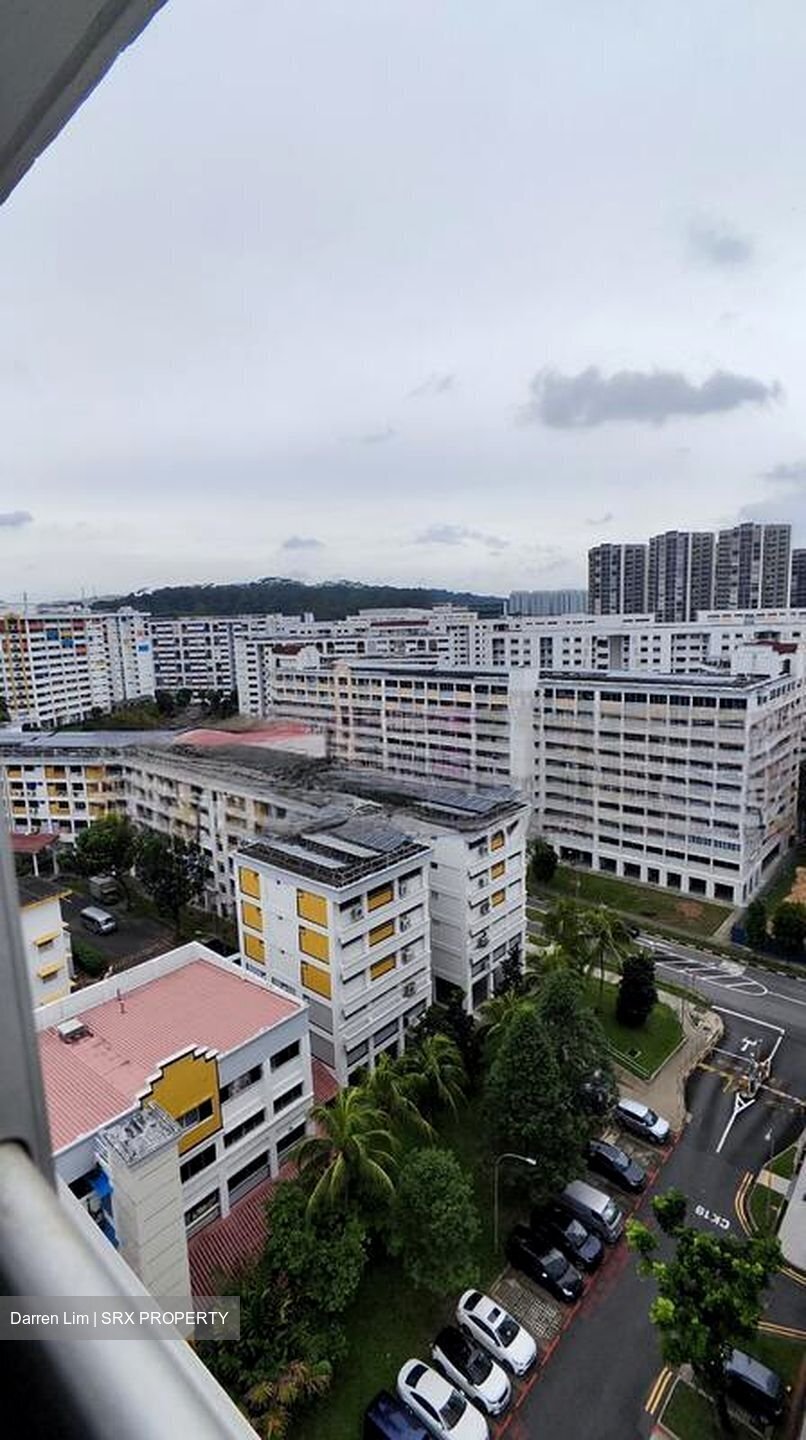 Blk 133 Teck Whye Lane (Choa Chu Kang), HDB Executive #456276531